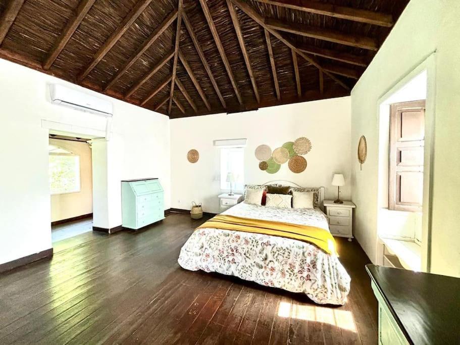Los Matos, Canarian House In Valleseco المظهر الخارجي الصورة