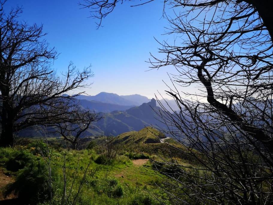 Los Matos, Canarian House In Valleseco المظهر الخارجي الصورة