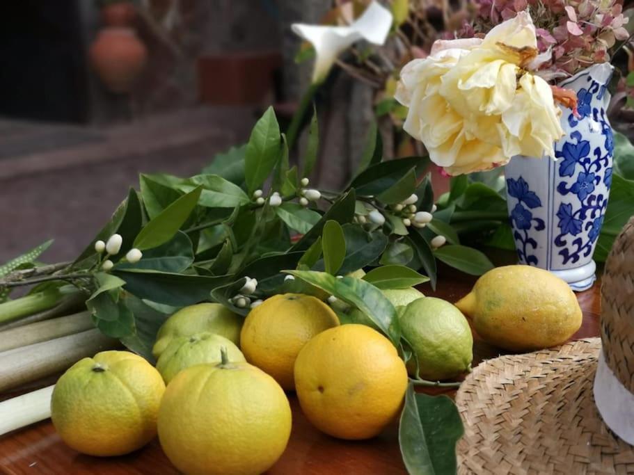 Los Matos, Canarian House In Valleseco المظهر الخارجي الصورة