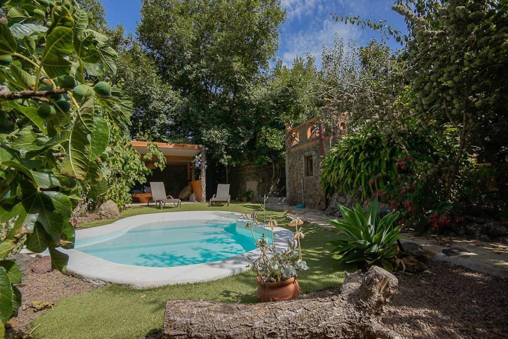 Los Matos, Canarian House In Valleseco المظهر الخارجي الصورة