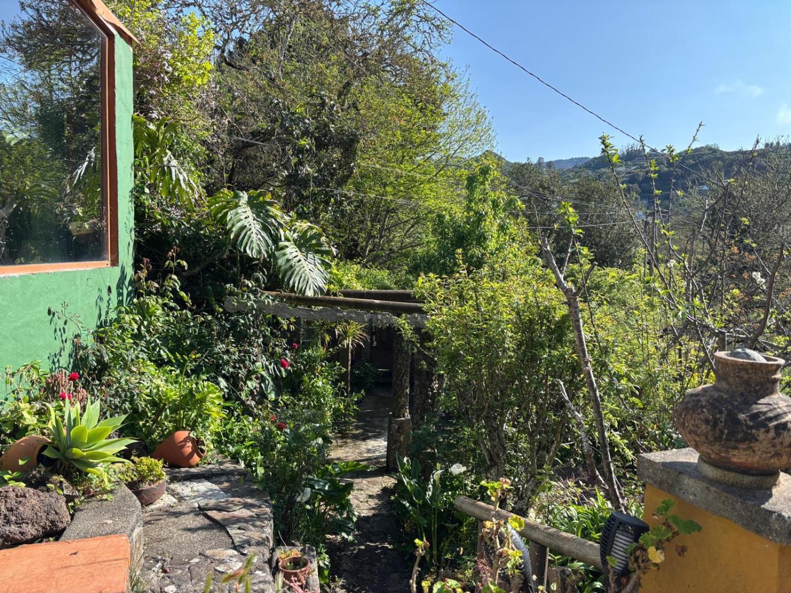 Los Matos, Canarian House In Valleseco المظهر الخارجي الصورة